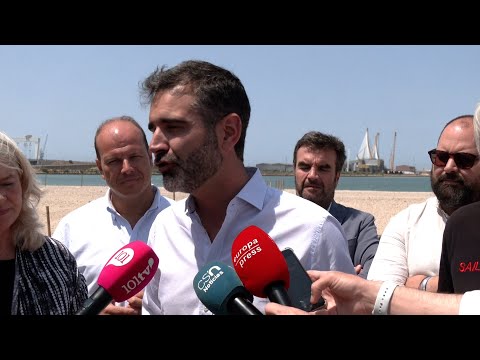 Andalucía colabora con UCA y Sail GP para convertir a Cádiz en capital europea del chorlitejo