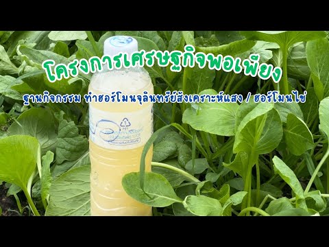 โครงการเศรษฐกิจพอเพียงฐานการเ