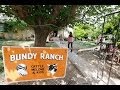 Was Bundy Ranch Attack A Harry Reid Inspired Hit?