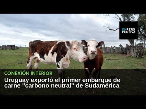 Uruguay exportó el primer embarque de carne carbono neutral de Sudamérica