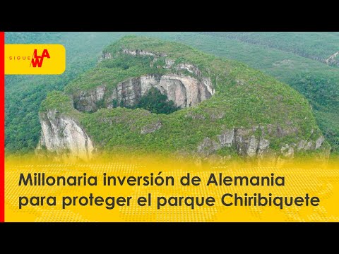 Millonaria inversión de Alemania para proteger el parque Chiribiquete