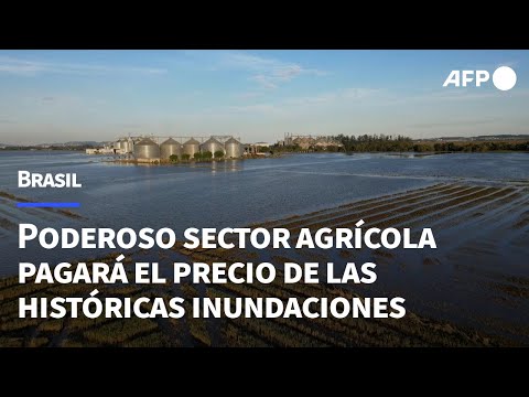 El poderoso sector agrícola brasileño pagará el precio de las inundaciones históricas | AFP