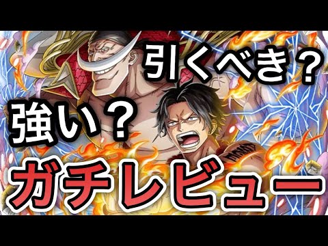 【トレクル】新フェス限 白ひげ＆エース 強い？引くべき？全ランキングイベント覇者の"ガチレビュー"【OPTC】【One Piece Treasure Cruise】