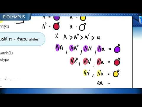 EP04Multiplealleles01