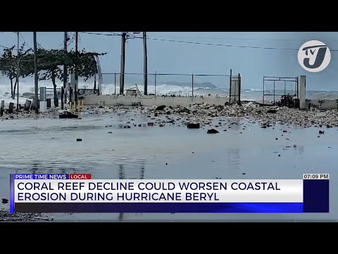 Coral Reef Decline could Worsen Coastal Erosion during Hurricane Beryl | TVJ NEws