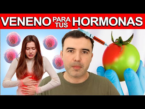 Venenos Que Destruyen Tus Hormonas - Alimentos Y Hábitos Que Desregulan Las Hormonas