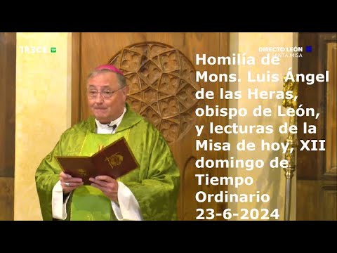 Homilía de Mons. Luis Ángel de las Heras y lecturas, XII domingo de Tiempo Ordinario, 23-6-2024