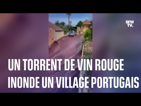 Portugal: les images impressionnantes d’un torrent de vin rouge inondant un village