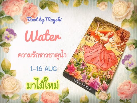 🧿BI-WEEKLY🔮ดวงความรักธาตุน้ำ🌊♥