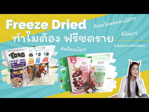 FreezeDryอาหารแมวฟรีซดรายคือ