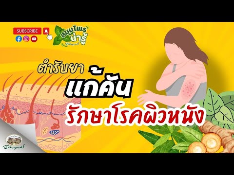 เปิดตำรับยาสมุนไพรแก้อาการคัน