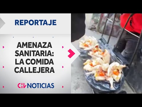 “¿ESO ES POLLO?”: La amenaza sanitaria por la venta de comida callejera - CHV Noticias