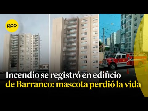 Barranco: mascota pierde la vida en incendio que se registró en edificio multifamiliar