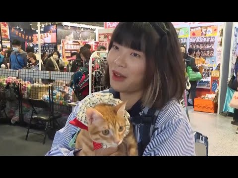 Taiwanese young people say they'd rather have pets than children