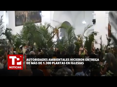 Autoridades ambientales hicieron  entrega de más de 1.300 plantas en iglesias |24.03.2024|TPNoticias