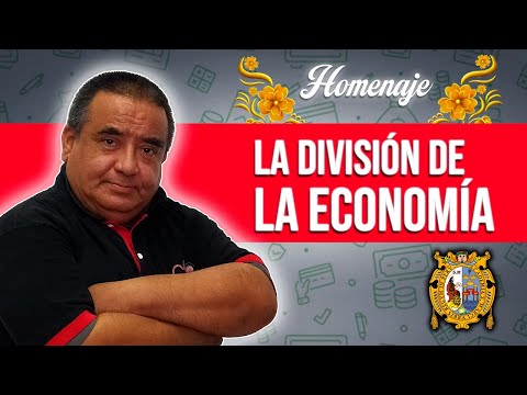 La División de la Economía  | Economía [HOMENAJE]
