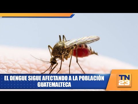 El dengue sigue afectando a la población guatemalteca