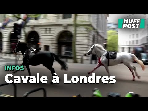 Deux chevaux de l’armée britannique en cavale font au moins quatre blessés en plein Londres