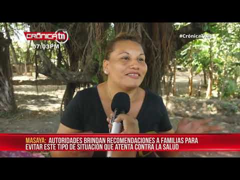 Ministerio de Salud atiende plaga de pulgas en un barrio de Masaya – Nicaragua