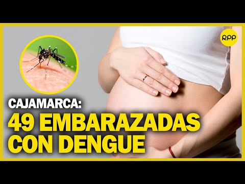 Dengue en el Perú: Cajamarca registra casos de contagio en embarazadas