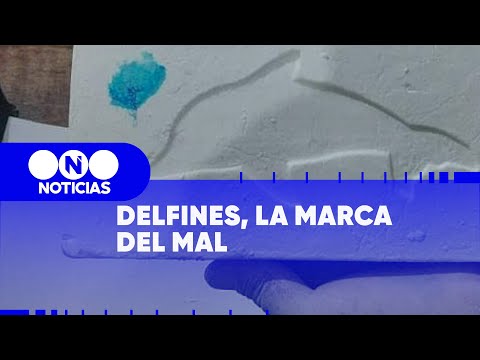 COCAÍNA y DELFINES, el SELLO del PATRÓN DEL NORTE - Telefe Noticias