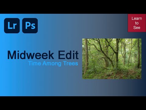 Midweek Edit | Time Among trees