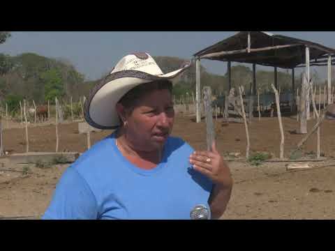 Destaca mujer bayamesa por su consagración a las labores agrícolas