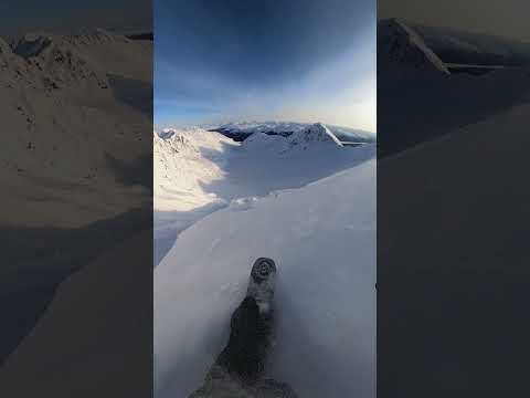 GoPro | Dream Line on a Steep Spine 🎬 Dan Scanlon #Shorts
#Snowboard