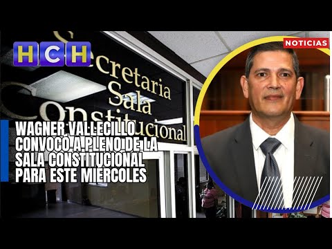 Wagner Vallecillo convocó a Pleno de la Sala Constitucional para este miércoles