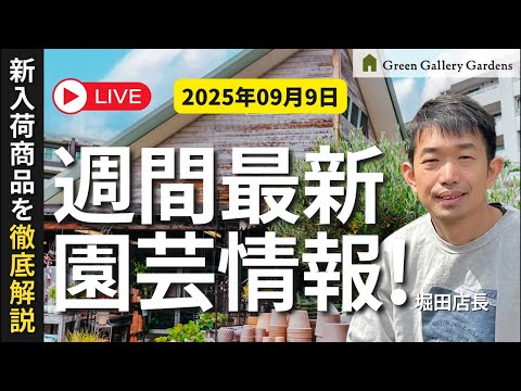 【最新情報】9月9日グリーンギャラリーガーデンズ入荷情報を一挙公開!