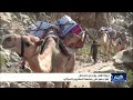 حصار أربعة آلاف يوم .. تعز تدفع ثمن رفضها للمشروع الحوثي