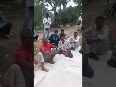 लाइव हाइलाइट