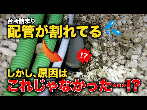 築20年台所詰まり！問題は他の場所にも！？外から猫のトイレみたいな臭いがしてくる原因とは？【花のお掃除 #383】