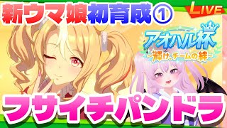 【ウマ娘】🔰初見プレイ‼フサイチパンドラと初アオハル杯💖新米サポーターへアドバイスお願い🙏