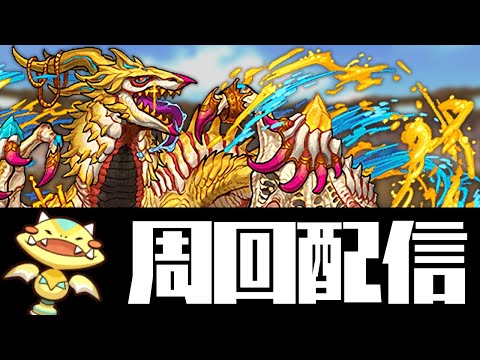 サボり過ぎたガンコラ周回配信【パズドラ】
