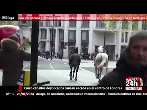 Noticia - Cinco caballos desbocados causan el caos en el centro de Londres