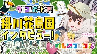 【ウサコレポートSP】キ！夏休みだよ！🍉ウサコレポートSP✨掛川花鳥園パークスタッフさんインタビュー！🎤てワケ！🦜🦩 【 #うさこぱとろーる