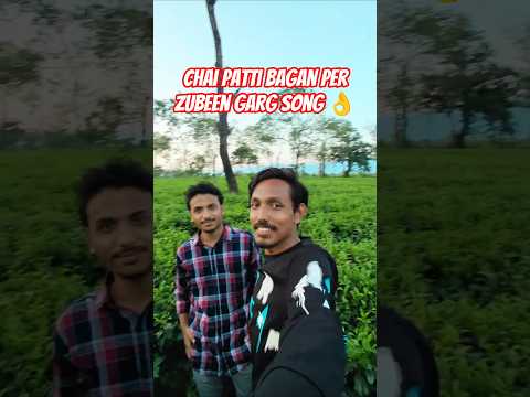 Zubeen Garg Song 👌 #teagardenvlog #shortsfeed #lifestylevlog #zubeenda