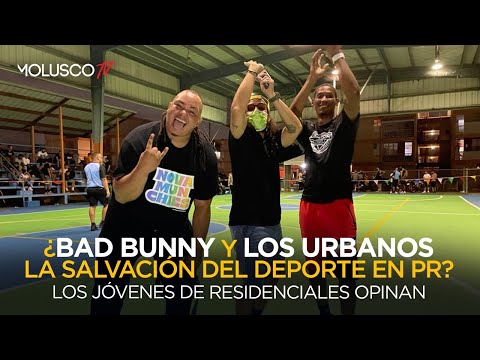 ¿ Bad Bunny y los Urbanos la salvación del deporte en PR  Los jóvenes de residénciales opinan ?