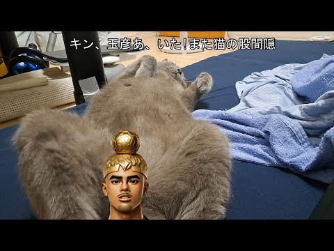 女子マネージャーの想い