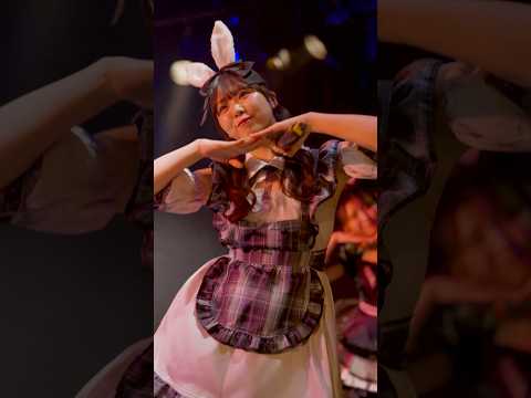 💛美波まお💛メイビーMEは動畫&靜止畫撮影可能です◎#メイビーME #ライブ #ダンス #推しカメラ #アイドル #メイビーmeを廣めたい #idol #maybem