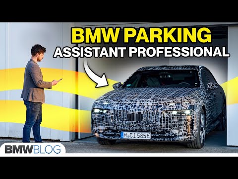 BMW Reversing and Parking Assistant Professional - DEMO