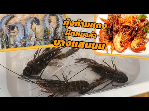 กุ้งก้ามแดงผัดหมาล่าปลาไทยซาช