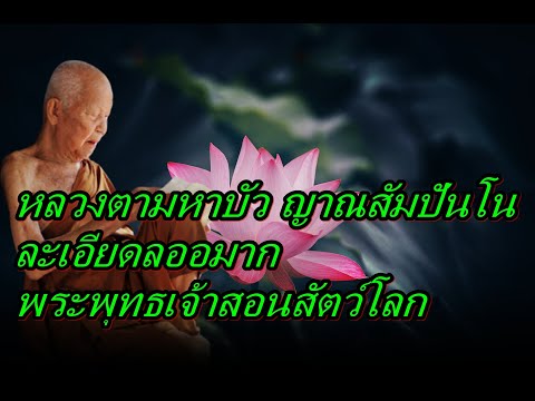 หลวงตามหาบัวญาณสัมปันโนละเอ