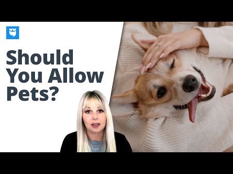Should I Allow Dogs at My Vacation Rental? (3 Pros & Cons)
