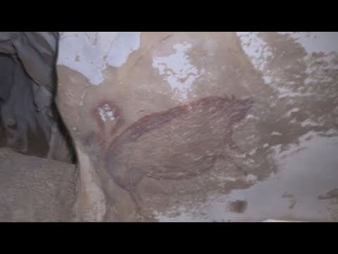 Descubren en Indonesia la pintura rupestre figurativa más antigua del mundo
