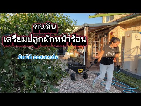 ขนดินเตรียมปลูกผัก|ซิดนีย์ออ