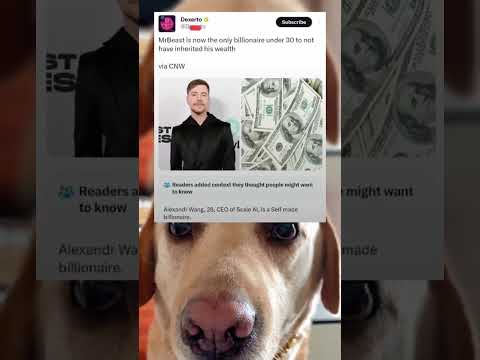 #memes #story #dog #shorts #pets