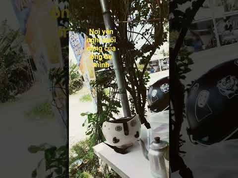 #lanbukay #Vùng đất tổ tiên ( ngoại)