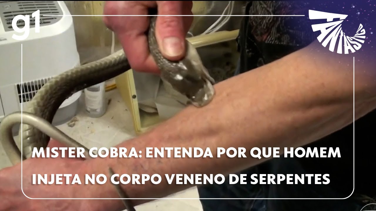 Fantástico: Mister Cobra: entenda por que homem injeta no próprio corpo veneno de serpentes